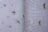 many mosquitoes on insect net wire screen close up on house window